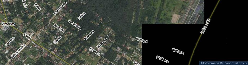 Zdjęcie satelitarne Kwitnąca ul.